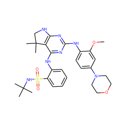 COc1cc(N2CCOCC2)ccc1Nc1nc2c(c(Nc3ccccc3S(=O)(=O)NC(C)(C)C)n1)C(C)(C)CN2 ZINC000221681831