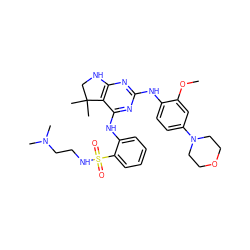 COc1cc(N2CCOCC2)ccc1Nc1nc2c(c(Nc3ccccc3S(=O)(=O)NCCN(C)C)n1)C(C)(C)CN2 ZINC000221646802