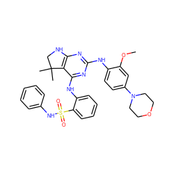 COc1cc(N2CCOCC2)ccc1Nc1nc2c(c(Nc3ccccc3S(=O)(=O)Nc3ccccc3)n1)C(C)(C)CN2 ZINC000221676698