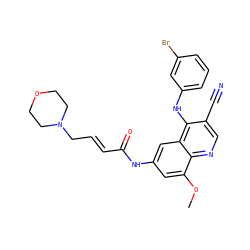 COc1cc(NC(=O)/C=C/CN2CCOCC2)cc2c(Nc3cccc(Br)c3)c(C#N)cnc12 ZINC000013492811