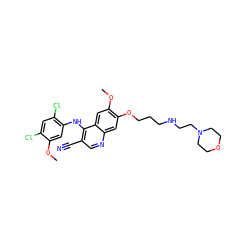 COc1cc(Nc2c(C#N)cnc3cc(OCCCNCCN4CCOCC4)c(OC)cc23)c(Cl)cc1Cl ZINC000023357821