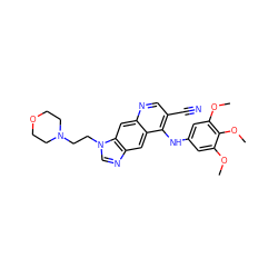 COc1cc(Nc2c(C#N)cnc3cc4c(cc23)ncn4CCN2CCOCC2)cc(OC)c1OC ZINC000013818549