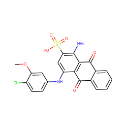 COc1cc(Nc2cc(S(=O)(=O)O)c(N)c3c2C(=O)c2ccccc2C3=O)ccc1Cl ZINC001772584822