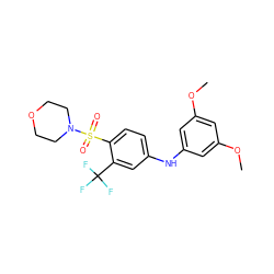 COc1cc(Nc2ccc(S(=O)(=O)N3CCOCC3)c(C(F)(F)F)c2)cc(OC)c1 ZINC000145249717