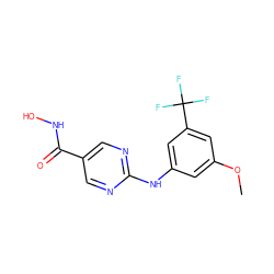 COc1cc(Nc2ncc(C(=O)NO)cn2)cc(C(F)(F)F)c1 ZINC000146122220