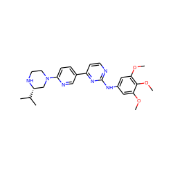 COc1cc(Nc2nccc(-c3ccc(N4CCN[C@@H](C(C)C)C4)nc3)n2)cc(OC)c1OC ZINC000026993373