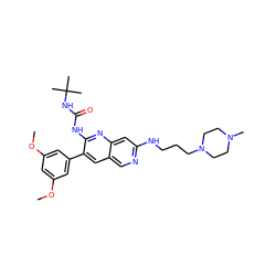 COc1cc(OC)cc(-c2cc3cnc(NCCCN4CCN(C)CC4)cc3nc2NC(=O)NC(C)(C)C)c1 ZINC000022933809