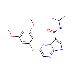 COc1cc(OC)cc(Oc2cnc3[nH]cc(C(=O)NC(C)C)c3n2)c1 ZINC000096269464