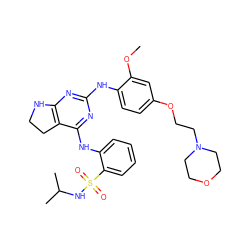 COc1cc(OCCN2CCOCC2)ccc1Nc1nc2c(c(Nc3ccccc3S(=O)(=O)NC(C)C)n1)CCN2 ZINC000221704961