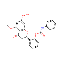 COc1cc(OO)cc2c1C(=O)C[C@H](c1ccccc1OC(=O)Nc1ccccc1)O2 ZINC000098085461