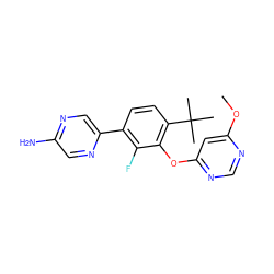 COc1cc(Oc2c(C(C)(C)C)ccc(-c3cnc(N)cn3)c2F)ncn1 ZINC000224552018