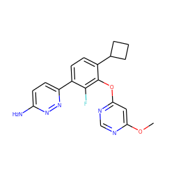 COc1cc(Oc2c(C3CCC3)ccc(-c3ccc(N)nn3)c2F)ncn1 ZINC000224559745