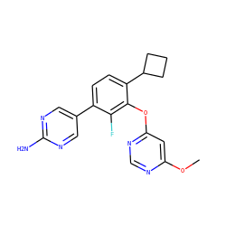 COc1cc(Oc2c(C3CCC3)ccc(-c3cnc(N)nc3)c2F)ncn1 ZINC000224553435