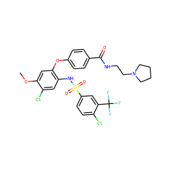 COc1cc(Oc2ccc(C(=O)NCCN3CCCC3)cc2)c(NS(=O)(=O)c2ccc(Cl)c(C(F)(F)F)c2)cc1Cl ZINC000082138006