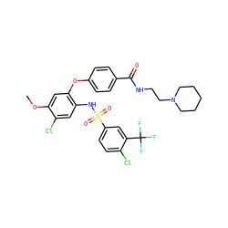 COc1cc(Oc2ccc(C(=O)NCCN3CCCCC3)cc2)c(NS(=O)(=O)c2ccc(Cl)c(C(F)(F)F)c2)cc1Cl ZINC000082137960