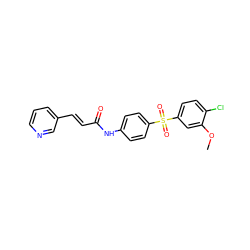 COc1cc(S(=O)(=O)c2ccc(NC(=O)/C=C/c3cccnc3)cc2)ccc1Cl ZINC000142163422