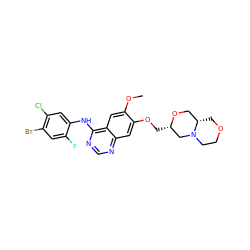 COc1cc2c(Nc3cc(Cl)c(Br)cc3F)ncnc2cc1OC[C@H]1CN2CCOC[C@H]2CO1 ZINC000114820770