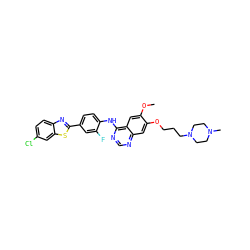COc1cc2c(Nc3ccc(-c4nc5ccc(Cl)cc5s4)cc3F)ncnc2cc1OCCCN1CCN(C)CC1 ZINC000049756673