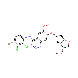 COc1cc2c(Nc3ccc(Br)c(Cl)c3Cl)ncnc2cc1O[C@@H]1C[C@H]2OC[C@H](OC)[C@H]2O1 ZINC001772613714