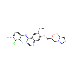 COc1cc2c(Nc3ccc(Br)c(Cl)c3F)ncnc2cc1OC[C@@H]1CN2CCC[C@H]2CO1 ZINC000115599029