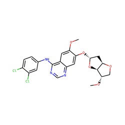 COc1cc2c(Nc3ccc(Cl)c(Cl)c3)ncnc2cc1O[C@@H]1C[C@H]2OC[C@H](OC)[C@H]2O1 ZINC001772632469