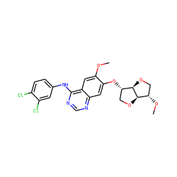 COc1cc2c(Nc3ccc(Cl)c(Cl)c3)ncnc2cc1O[C@H]1CO[C@@H]2[C@@H](OC)CO[C@H]12 ZINC000038803030