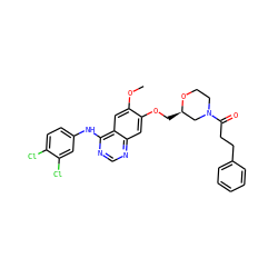 COc1cc2c(Nc3ccc(Cl)c(Cl)c3)ncnc2cc1OC[C@@H]1CN(C(=O)CCc2ccccc2)CCO1 ZINC000114821163