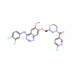 COc1cc2c(Nc3ccc(Cl)c(Cl)c3)ncnc2cc1OC[C@@H]1CN(C(=O)c2ccc(Cl)nc2)CCO1 ZINC000088367986