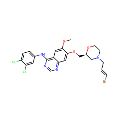 COc1cc2c(Nc3ccc(Cl)c(Cl)c3)ncnc2cc1OC[C@@H]1CN(C/C=C/Br)CCO1 ZINC000115599071