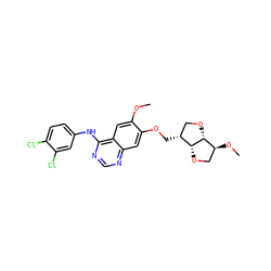 COc1cc2c(Nc3ccc(Cl)c(Cl)c3)ncnc2cc1OC[C@@H]1CO[C@@H]2[C@@H](OC)CO[C@H]12 ZINC000115599552