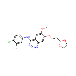 COc1cc2c(Nc3ccc(Cl)c(Cl)c3)ncnc2cc1OCCC1OCCO1 ZINC000038907336