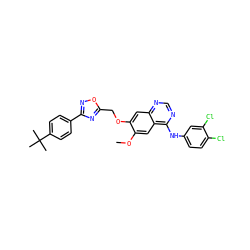 COc1cc2c(Nc3ccc(Cl)c(Cl)c3)ncnc2cc1OCc1nc(-c2ccc(C(C)(C)C)cc2)no1 ZINC000114821043