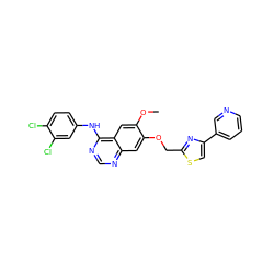 COc1cc2c(Nc3ccc(Cl)c(Cl)c3)ncnc2cc1OCc1nc(-c2cccnc2)cs1 ZINC000114820987