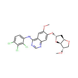 COc1cc2c(Nc3ccc(Cl)c(Cl)c3Cl)ncnc2cc1O[C@@H]1C[C@H]2OC[C@H](OC)[C@H]2O1 ZINC001772588664