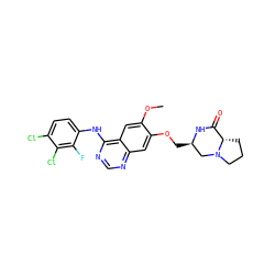 COc1cc2c(Nc3ccc(Cl)c(Cl)c3F)ncnc2cc1OC[C@@H]1CN2CCC[C@H]2C(=O)N1 ZINC000114821446