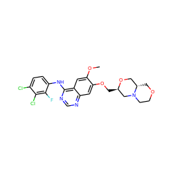 COc1cc2c(Nc3ccc(Cl)c(Cl)c3F)ncnc2cc1OC[C@@H]1CN2CCOC[C@H]2CO1 ZINC000114821297