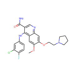 COc1cc2c(Nc3ccc(F)c(Cl)c3)c(C(N)=O)cnc2cc1OCCN1CCCC1 ZINC000040933471