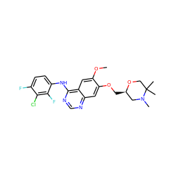 COc1cc2c(Nc3ccc(F)c(Cl)c3F)ncnc2cc1OC[C@@H]1CN(C)C(C)(C)CO1 ZINC000114824337