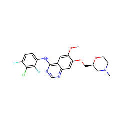 COc1cc2c(Nc3ccc(F)c(Cl)c3F)ncnc2cc1OC[C@@H]1CN(C)CCO1 ZINC000114821248