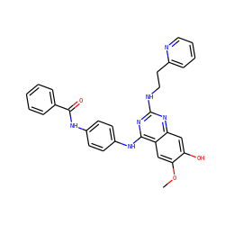 COc1cc2c(Nc3ccc(NC(=O)c4ccccc4)cc3)nc(NCCc3ccccn3)nc2cc1O ZINC000299835682