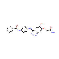 COc1cc2c(Nc3ccc(NC(=O)c4ccccc4)cc3)ncnc2cc1OCC(N)=O ZINC000299820001