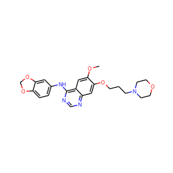 COc1cc2c(Nc3ccc4c(c3)OCO4)ncnc2cc1OCCCN1CCOCC1 ZINC000013559424