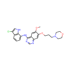 COc1cc2c(Nc3cccc4c(Cl)c[nH]c34)ncnc2cc1OCCCN1CCOCC1 ZINC000028003228