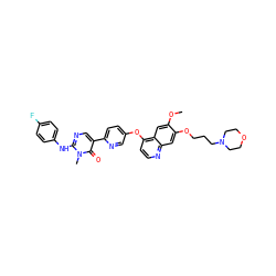 COc1cc2c(Oc3ccc(-c4cnc(Nc5ccc(F)cc5)n(C)c4=O)nc3)ccnc2cc1OCCCN1CCOCC1 ZINC000043202030