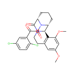 COc1cc2c(c(OC)c1)[C@@H]1[C@H]3CCC[C@@H](C(=O)N1CC2)N3C(=O)C(=O)c1cc(Cl)ccc1Cl ZINC000038211930