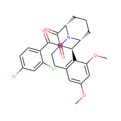 COc1cc2c(c(OC)c1)[C@@H]1[C@H]3CCC[C@@H](C(=O)N1CC2)N3C(=O)C(=O)c1ccc(Cl)cc1Cl ZINC000038270481