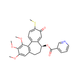 COc1cc2c(c(OC)c1OC)-c1ccc(SC)c(=O)cc1[C@@H](OC(=O)c1cccnc1)CC2 ZINC000013761348