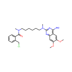COc1cc2nc(N(C)CCCCCCN(C)C(=O)c3ccccc3CCl)nc(N)c2cc1OC ZINC000013782112
