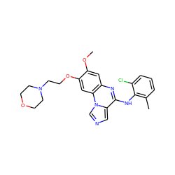 COc1cc2nc(Nc3c(C)cccc3Cl)c3cncn3c2cc1OCCN1CCOCC1 ZINC000013860342