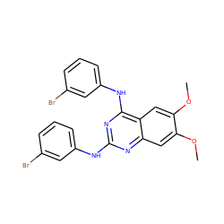 COc1cc2nc(Nc3cccc(Br)c3)nc(Nc3cccc(Br)c3)c2cc1OC ZINC000001655224